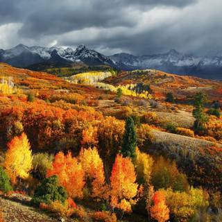 Autumn Colorado wallpaper