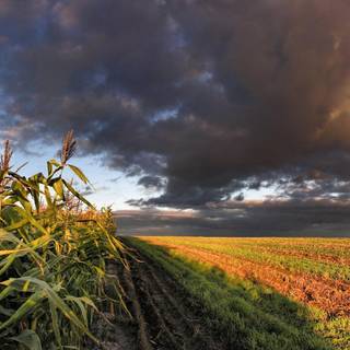 Perception wallpaper