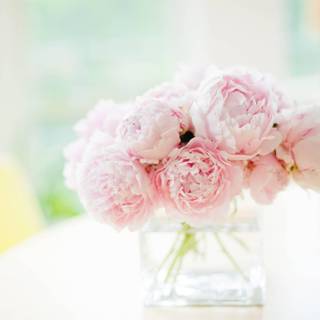 Rustic peonies bouquet wallpaper