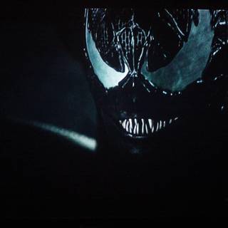 Spider-Man and Venom wallpaper