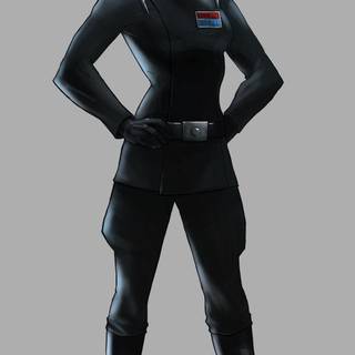 Imperial officer wallpaper