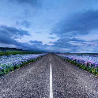Iceland road wallpaper