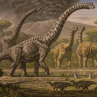 Brachiosaurus wallpaper