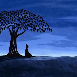 Lone tree silhouette wallpaper