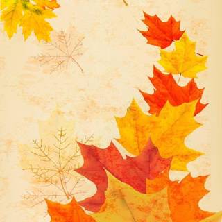 Welcome autumn wallpaper