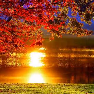 Autumn trees wallpaper