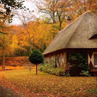 Fairytale house autumn wallpaper