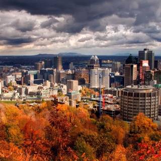 Autumn Canada wallpaper