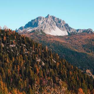 Mountain autumn wallpaper