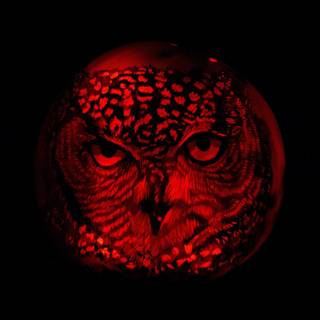 Owl Halloween wallpaper