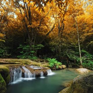 Amazing forest cascades wallpaper
