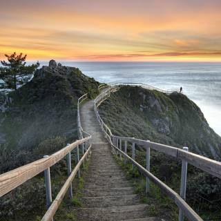 Sunset mill wallpaper