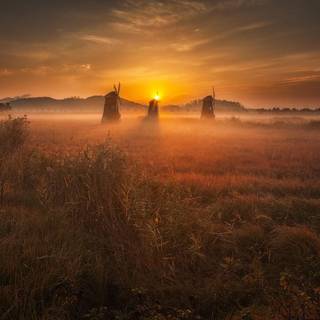 Sunset mill wallpaper