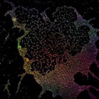 Biochemical wallpaper