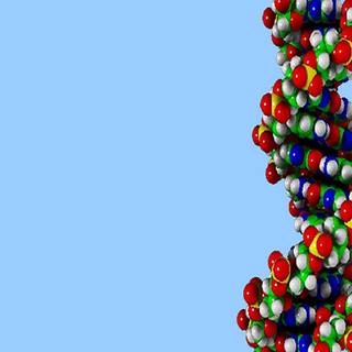 Biochemical wallpaper