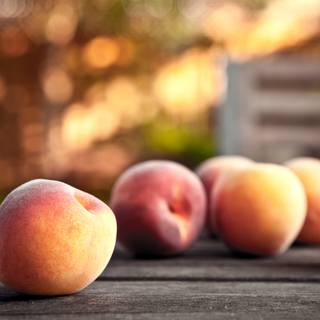 Nectarines wallpaper