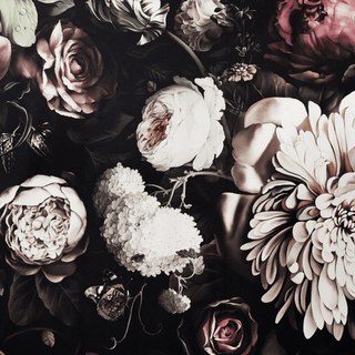 Trending flower wallpaper