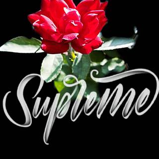 Supreme flowers wallpaper
