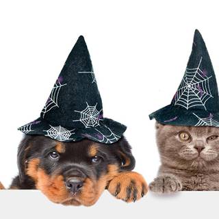 Puppy Halloween wallpaper