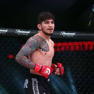 Dillon Danis wallpaper