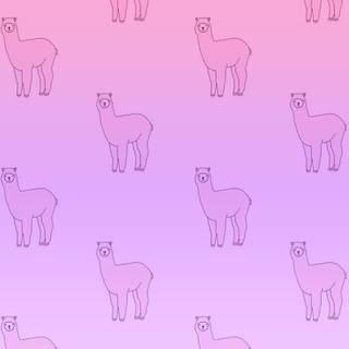 Cartoon alpaca wallpaper