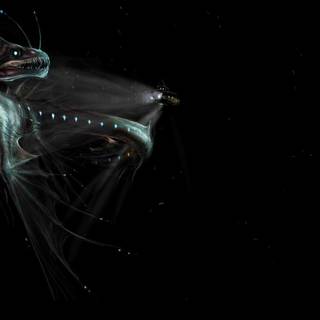 Dragon black and white wallpaper