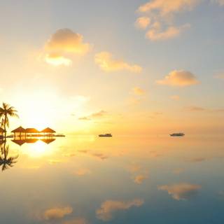 Golden sunset reflection wallpaper