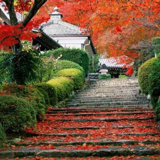 Portland Japanese Garden wallpaper