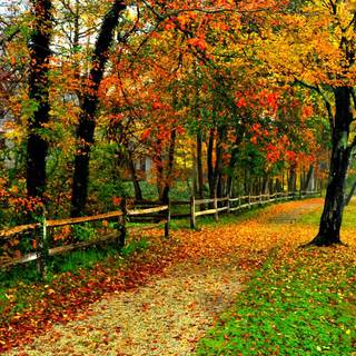 Colorful autumn season wallpaper