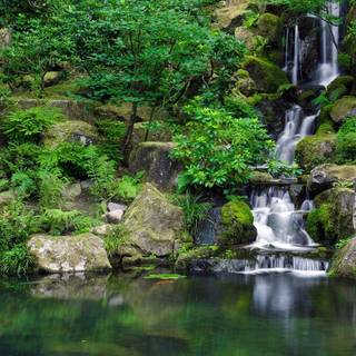 Portland Japanese Garden wallpaper