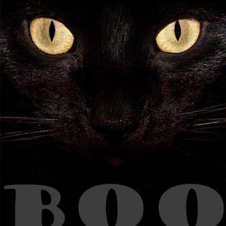 Halloween animals wallpaper