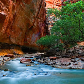 Virgin River Zion National Park wallpaper
