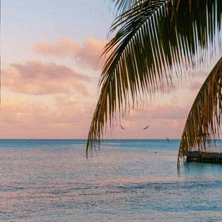 Pink sea aesthetic wallpaper