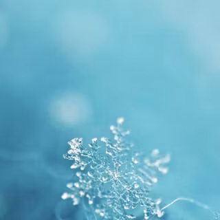 Winter aesthetic wallpaper