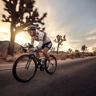 Peter Sagan wallpaper