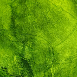 Green and white wallpaper