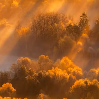 Autumn light wallpaper