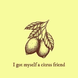 Cavetown Lemon Boy wallpaper