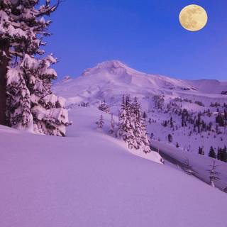 Aesthetic snow wallpaper