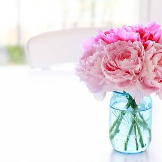 Peonies vintage bouquet wallpaper