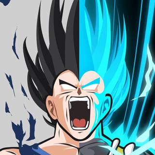 Vegeta rage wallpaper