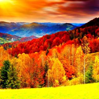 Color nature wallpaper