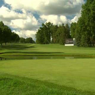 Bridgestone wallpaper