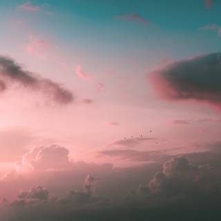 VSCO for computer wallpaper