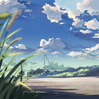 Aesthetic nature wallpaper