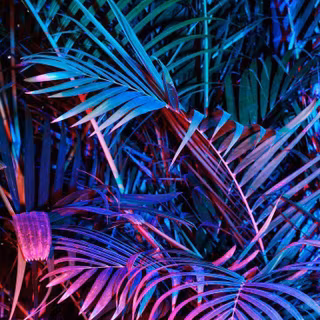 Neon plants wallpaper