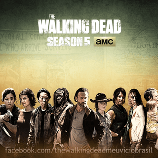 The Walking Dead season 10 wallpaper