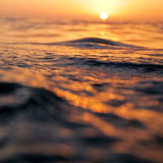 Sunset on the sea wallpaper