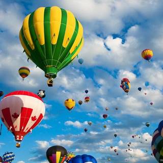 Colorful balloons in the sky wallpaper