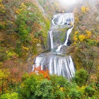 Autumn cascades wallpaper